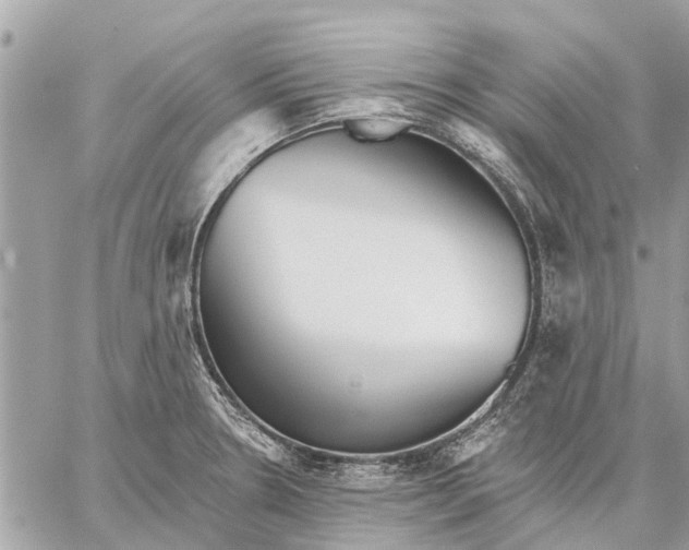 X0000059061330200510281623