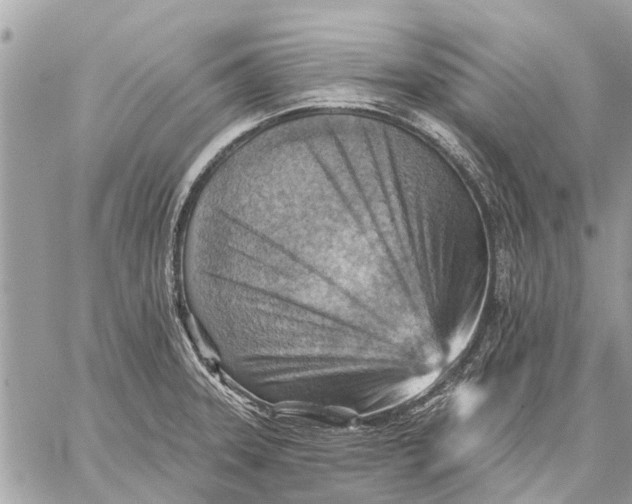 X0000059061331200510281623