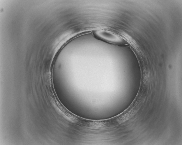 X0000059061332200510281623