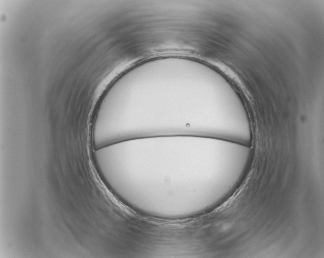 X0000059061333200510281623