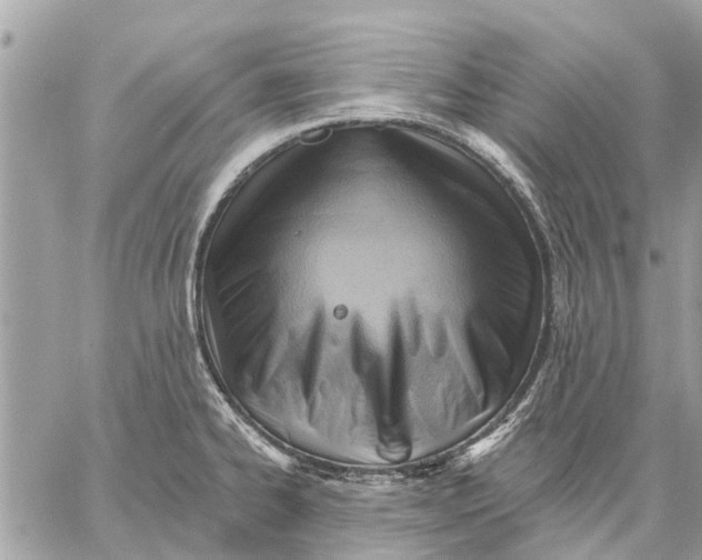 X0000059061334200510281623