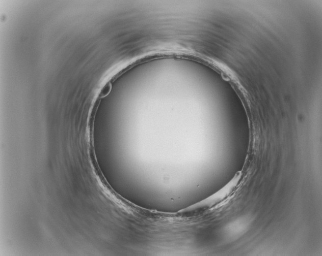 X0000059061335200510281623