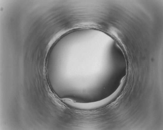 X0000059061336200510281623