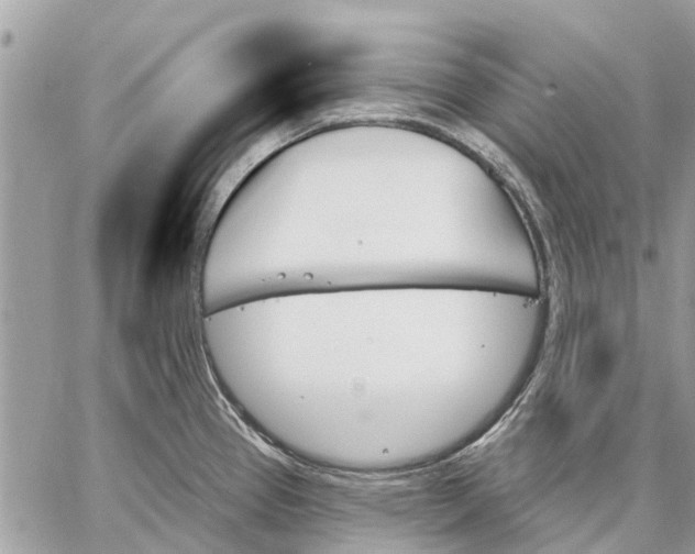 X0000059061337200510281623