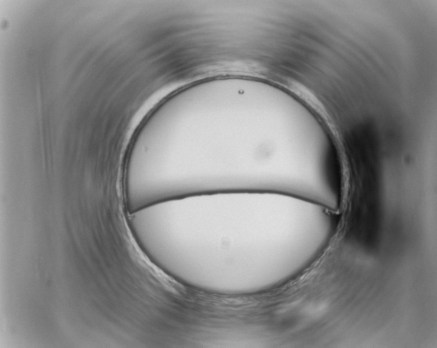 X0000059061339200510281623