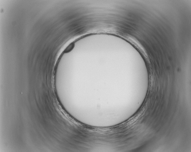 X0000059061340200510281623