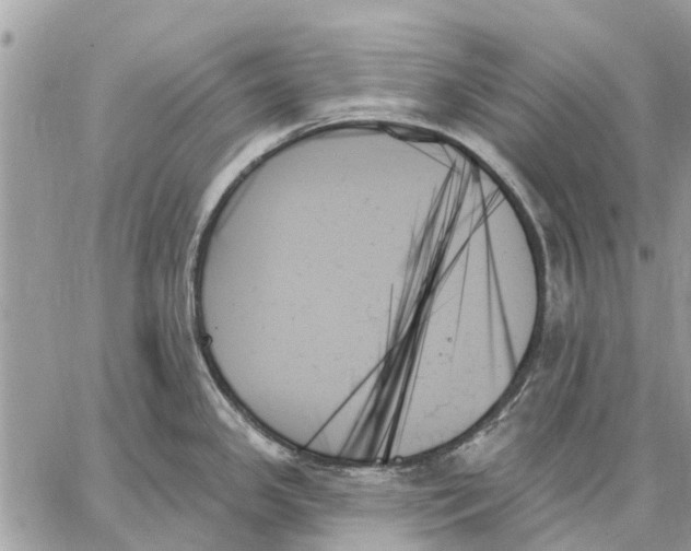 X0000059061341200510281623