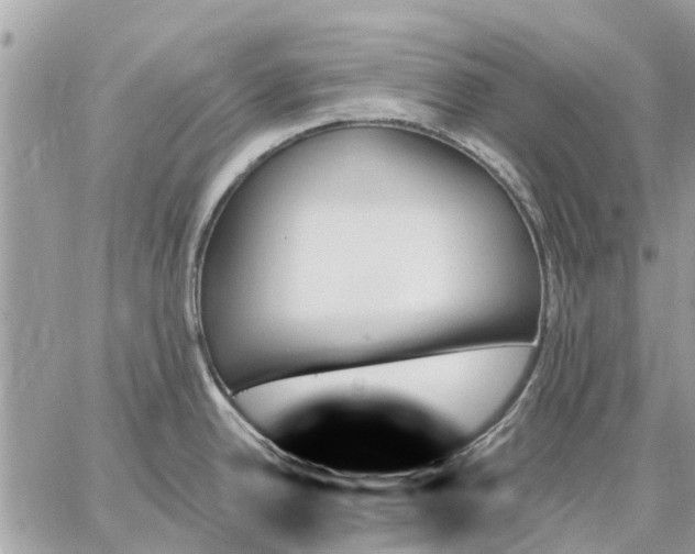 X0000059061342200510281623