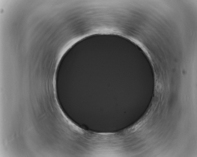 X0000059061343200510281623