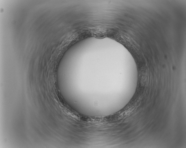 X0000059061345200510281622