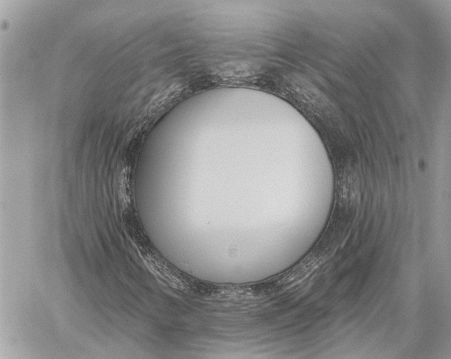 X0000059061346200510281622