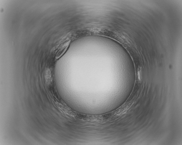 X0000059061347200510281622