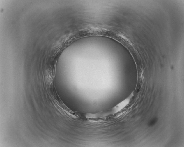 X0000059061348200510281622