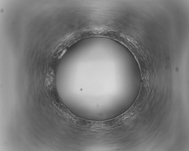 X0000059061349200510281622