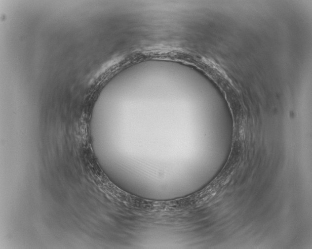 X0000059061350200510281622