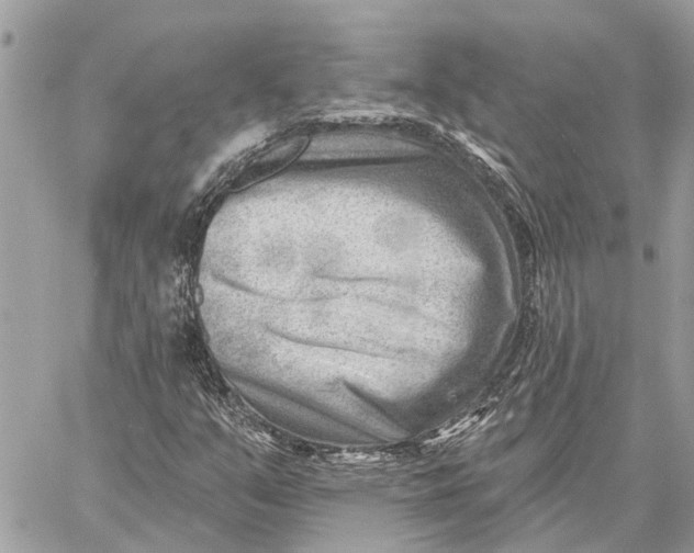 X0000059061351200510281622