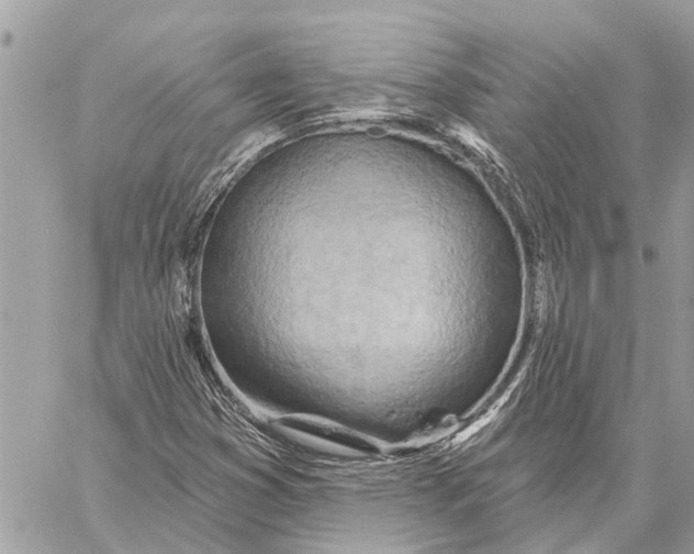 X0000059061353200510281622