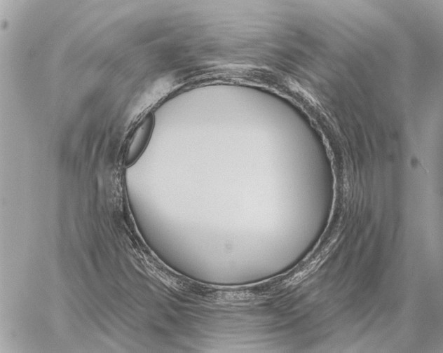 X0000059061354200510281622