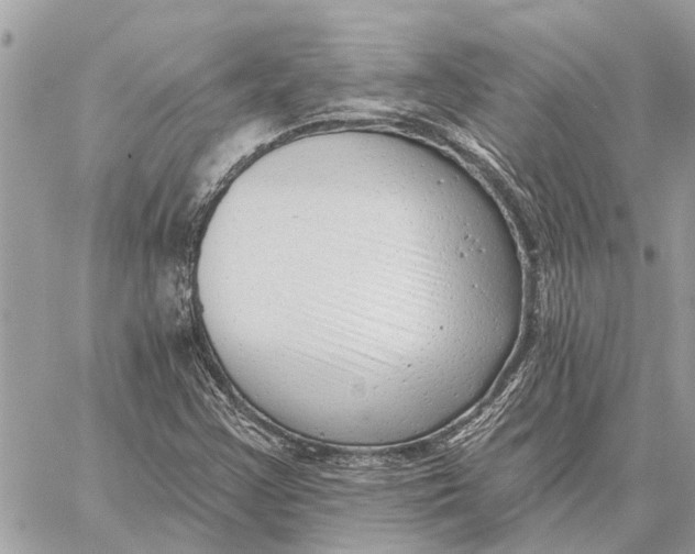 X0000059061355200510281622