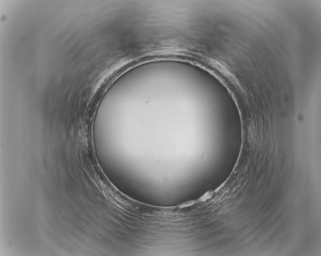 X0000059061356200510281622