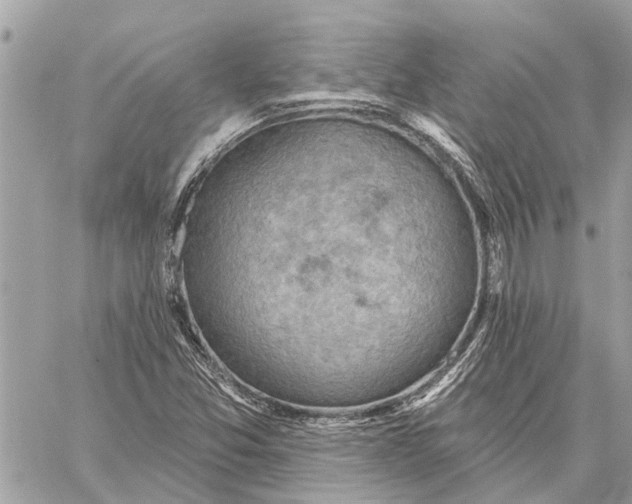 X0000059061357200510281622