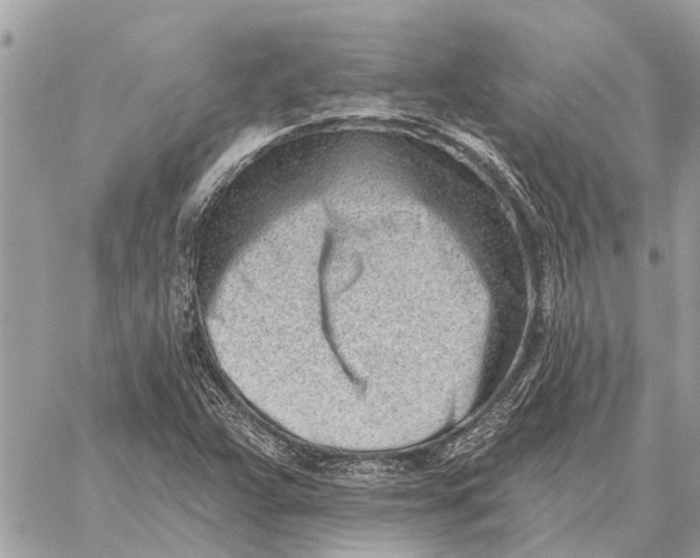 X0000059061359200510281622