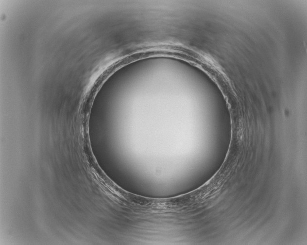 X0000059061360200510281622