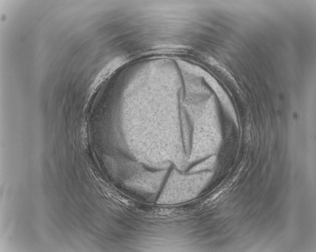 X0000059061362200510281622