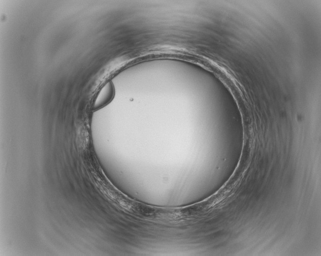 X0000059061363200510281622