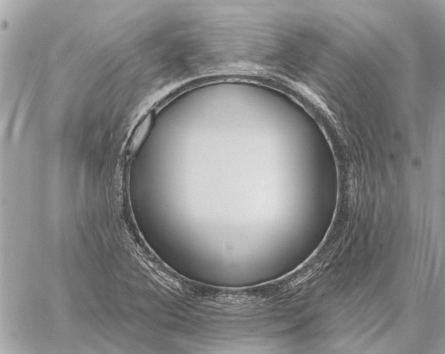 X0000059061364200510281622