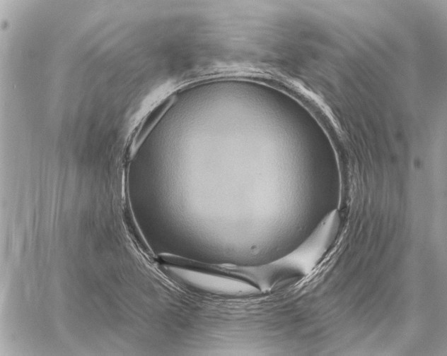 X0000059061365200510281622