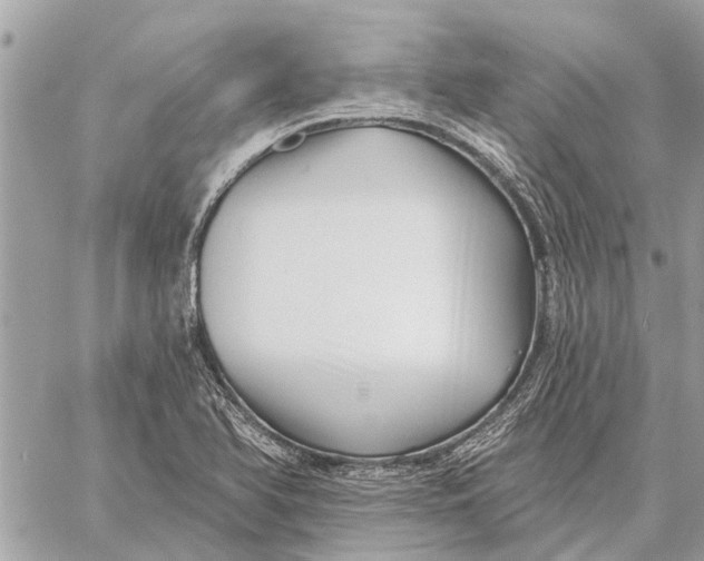 X0000059061366200510281622