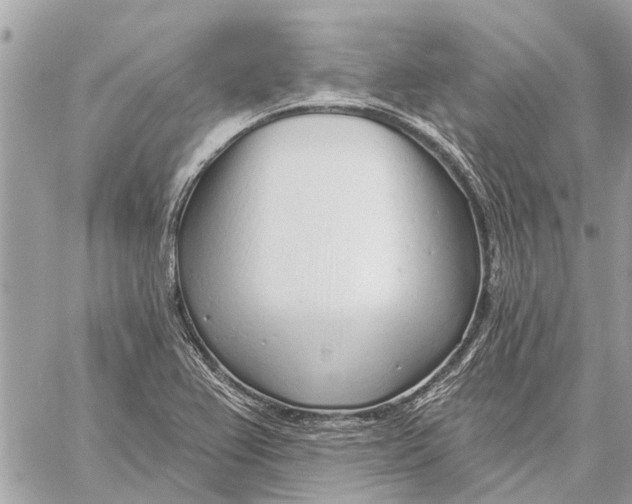 X0000059061367200510281622