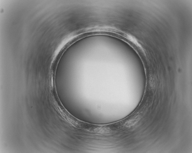 X0000059061368200510281622