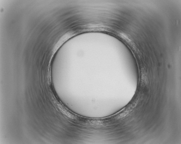 X0000059061370200510281622