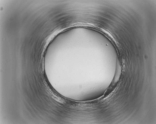 X0000059061371200510281622