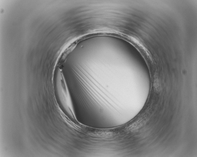 X0000059061372200510281622