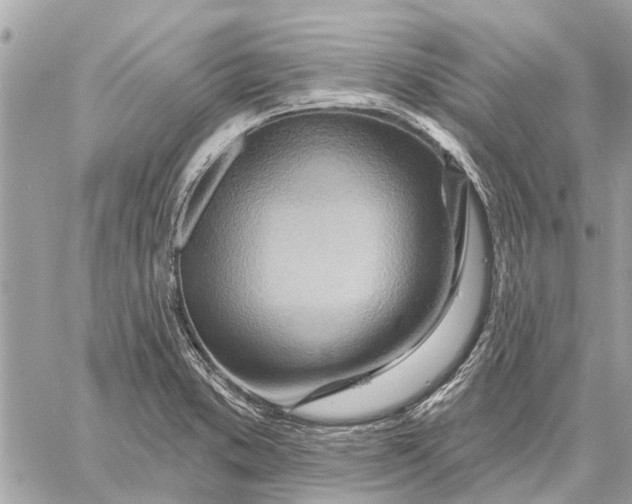 X0000059061373200510281622