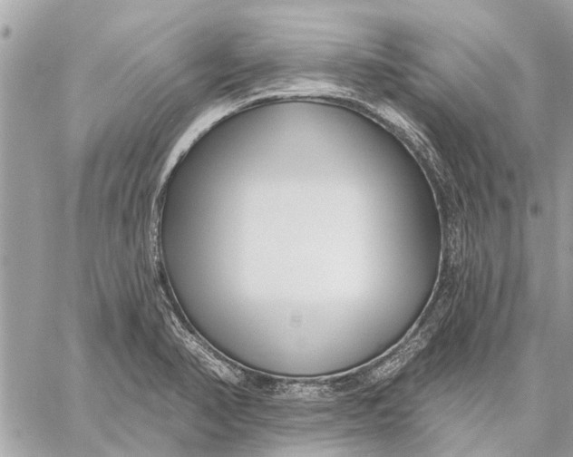 X0000059061374200510281622