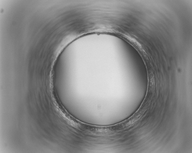 X0000059061375200510281622