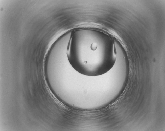 X0000059061376200510281622