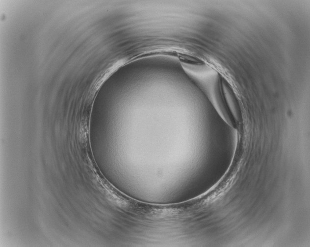 X0000059061377200510281622