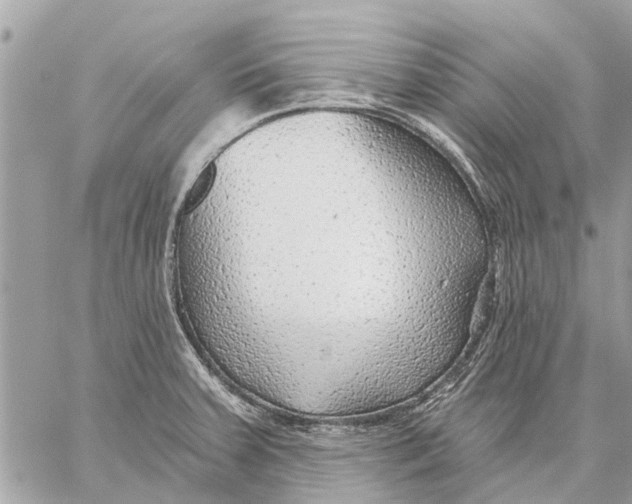 X0000059061379200510281622