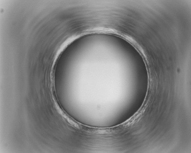 X0000059061381200510281621