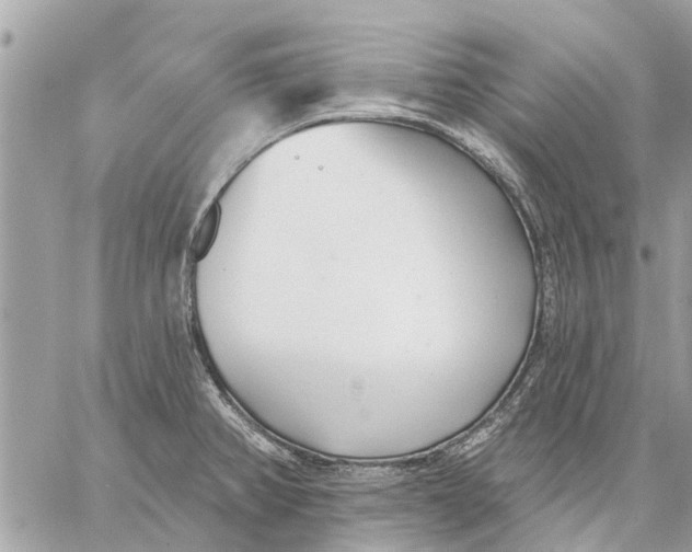 X0000059061382200510281621