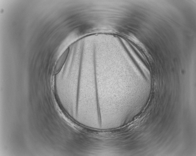 X0000059061383200510281621