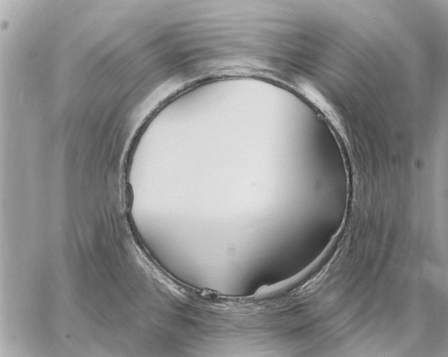 X0000059061384200510281621