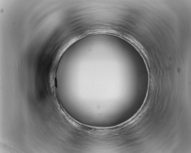 X0000059061385200510281621