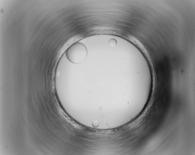 X0000059061386200510281621