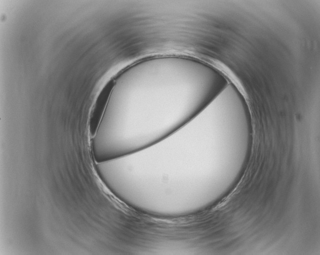 X0000059061388200510281621